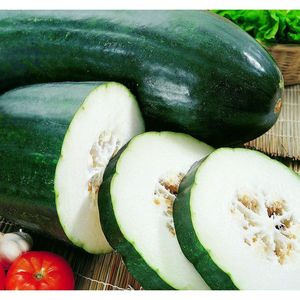 Offre Spéciale!!! POUDRE DE MELON D'HIVER // POUDRE DE CIRE MOULÉE DU FABRICANT DU VIETNAM - Product Image 5