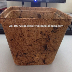 Pot de coco, produit horticole - Product Image 2