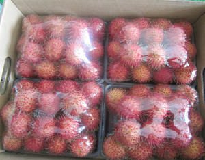 เงาะสดจากเวียดนามที่มีคุณภาพสูงที่ดีที่สุด Pice - Product Image 1