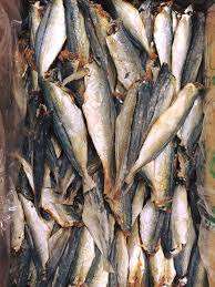 Pescado Caballa - Pez Pequeño Redondo Seco - Product Image 4