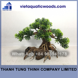 Madera flotante para bonsái para acuarios paludarios y paisajismo acuático - Product Image 5