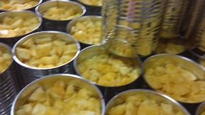 PROVEEDOR DE VIETNAM FRUTAS CONSERVADAS/PIÑA EN JARABE - Product Image 5