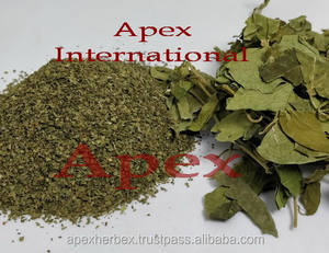 Gymnema เซลเวสท์ตัดใบไม้,ต้นแพร์โลกาป่า Gymnema T - Product Image 5