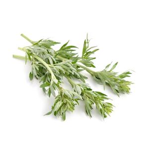 Huile Essentielle Pure d'Armoise (Artemisia Vulgaris) 100ml en Gros, Certifiée GMP, Hydratante et Nourrissante, Distillée à la Vapeur, Inde - Product Image 3
