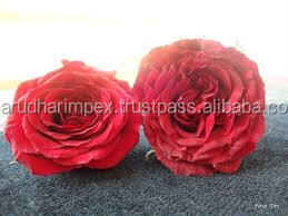 ผงกลีบกุหลาบออร์แกนิก, ผงกุหลาบมิเนเจอร์, ผงกุหลาบบริสุทธิ์ - Product Image 5