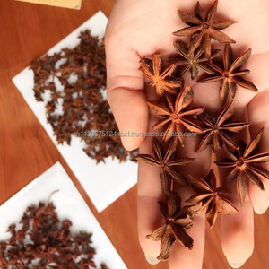 Anís Estrellado de Vietnam en Oferta, Grado B, Especias Secas Enteras, Venta al por Mayor, Exportación, Nueva Cosecha - Product Image 1