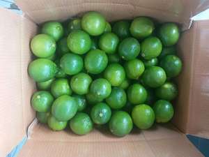 Limes sans graines du Vietnam/citron vert frais - Product Image 3