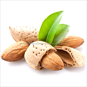 น้ำมันอัลมอนด์หวานสกัดจากอินเดียได้รับการรับรองจากผู้ผลิตผลิตภัณฑ์ดูแลผิว - Product Image 2
