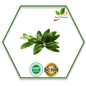 Aceite esencial puro Natural, Aceite de Masaje de grado cosmético, a la venta Aceite Esencial de Copaiba, el más vendido del mundo