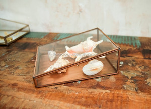 Gold Metal Glass Jewelry Storage <b>Box</b> With Lid 1-3L Capacity - Product Image 4