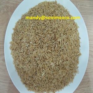 Polvo de cáscara de arroz crudo, PELLET crudo con la mejor calidad, precio barato de exportación de VIETNAM a todos los puertos del mundo - Product Image 6