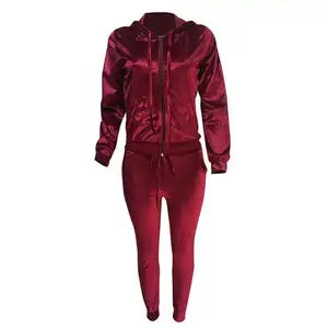 Sexy Ladies Velvet Tracksuit Women Velvet Long Sleeve Cropped Hoodie and Pants Two Piece Set Autumn Winter Sweat Suits