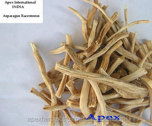 Măng Tây Racemosus Rễ Shatawari Rễ Hữu Cơ - Product Image 2