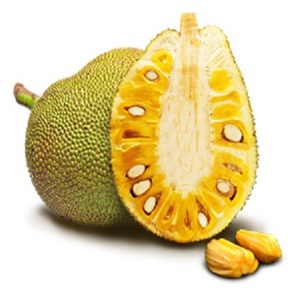MEJOR PRECIO JACKFRUIT CONGELADO IQF - PROVEEDOR DE FRUTAS CONGELADAS - FRUTAS TROPICALES DE VIETNAM - Product Image 2