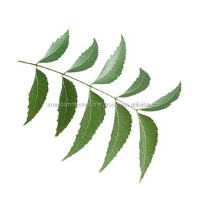 Pura Óleos Transportadora 100% <span class=keywords><strong>Natural</strong></span> Óleo de <span class=keywords><strong>Neem</strong></span> Fornecedores na Embalagem Private Label para o Aroma Uso