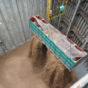 Copeaux de bois 100% bois (acacia, eucalyptus, pin, copeaux de bois de caoutchouc) en vrac et à prix avantageux - Product Image 1