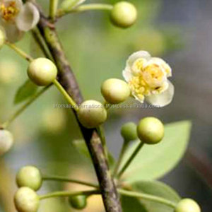 100% Huile essentielle naturelle pure de Litsea Cubeba d'Inde - Product Image 3