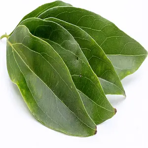 계피 잎 기름 (Cinnamomum verum) 100% 순수한 계피 정유 Aromatherapy 기름