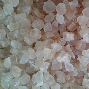 Sterculia Foetida/best Price/high Quality - Product Image 6