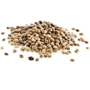 100% Semilla de cáñamo Natural pura aceite esencial de grado Superior prensado en frío orgánico para masaje de cabello de piel aromaterapia mezclas DIY - Product Image 6