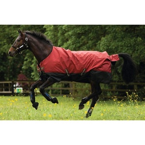 Couverture d'hiver pour cheval 600D Ripstop imperméable, col standard, rembourrage en coton 300gsm, couverture isolante avec doublure en nylon - Product Image 4