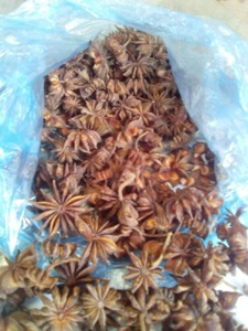 Anís estrellado-Cocinar y hornear de Vietnam en 2024 - Product Image 3