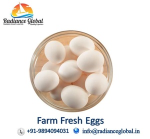Fresh Indian Chicken Table Eggs - Product Image 4
