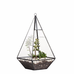 Terrario en forma de pirámide de Metal y vidrio - Product Image 1