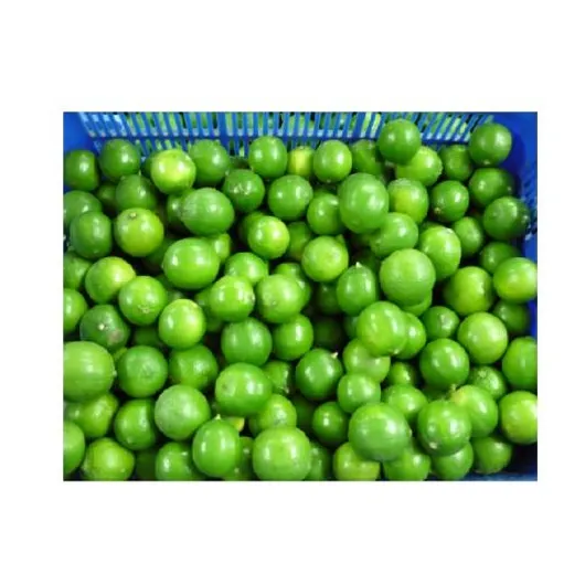 SUPPLY No.1 FRESH LEMON/FRESH LIME FOR ALL THE WORLD AT CHEAPEST PRICE FROM VIETNAM