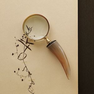 Lupa 2018 con mango de bocina original, lupa, lupa náutica lupa decorativa - Product Image 3