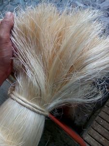 Sợi Abaca Loại EF Sản Xuất Tại Philippine Màu Sáng Sợi Tự Nhiên Nối Tóc Tốt Nhất Được Sử Dụng Cho Tóc Nhân Tạo - Product Image 4