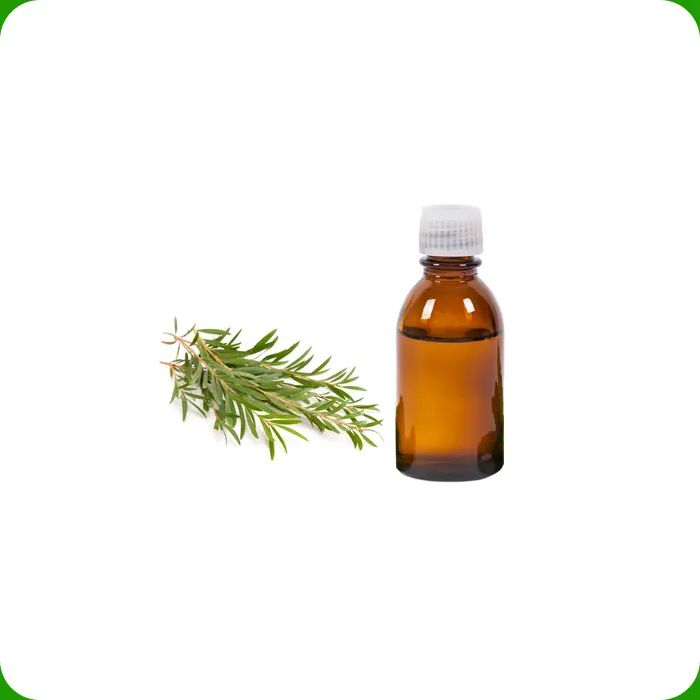 Venta al por mayor a granel Cuidado DE LA PIEL 100% Pure Tea Tree Oil Essential para blanquear la piel Control de aceite Hidratante Disponible a precios baratos