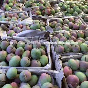 प्रीमियम गुणवत्ता के साथ ताजा मैंगो.