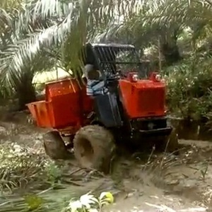 Nuovo Mini Dumper Cingolato Coreano per Uso Agricolo con Motore ad Alta Efficienza e Garanzia di 1 Anno - Product Image 2