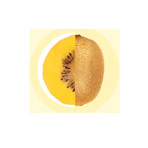 Popular aperitivos deshidratado kiwi seco los kiwis secos amarillo rodajas de kiwi - Product Image 2