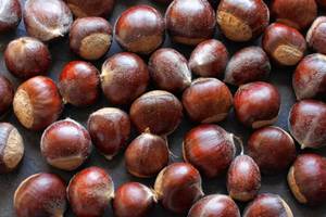 <span class=keywords><strong>Castagne</strong></span> Fresche Crude Premium all'Ingrosso dal Sudafrica Disponibili - Product Image 4