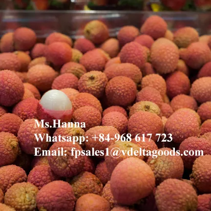 Vers Lychee Fruit Ingeblikt Hoge Kwaliteit/Vers Lychee Fruit Beste Prijs