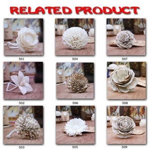 Set <span class=keywords><strong>Diffuser</strong></span> DIY ramah lingkungan dengan bunga rumput <span class=keywords><strong>Balsa</strong></span> dekorasi rumah <span class=keywords><strong>Diffuser</strong></span> aroma sumbu katun - Product Image 3