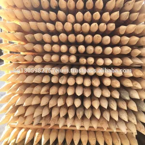 Sharp-Point High-Pressure Vacuum Impregnated Durable Timber Product Coniferous Lathe Wood <b>Light</b> <b>Poles</b> - Product Image 1