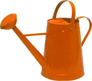 Steel Galvanized Plant Watering Can wholesaler manufacturer Low MOQ Factory Price Handmade