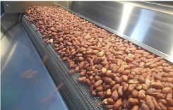 Máquina tostadora de nueces Automática de acero inoxidable de alta calidad Fácil uso Máquina tostadora de nueces secas NUT 3000P - Product Image 2