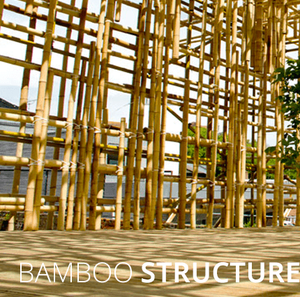 เสาไม้ไผ่คุณภาพสูง - Product Image 3