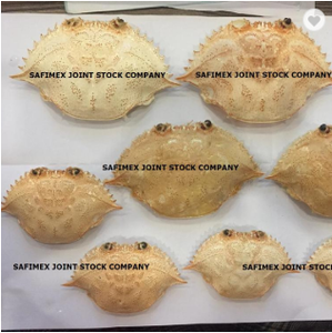 เปลือกปูแห้งธรรมชาติ 100% ขนาดใหญ่ สำหรับร้านอาหารทะเลและอาหารยำ - Product Image 2