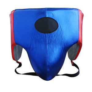 Equipo de entrenamiento de artes marciales, taekwondo, protector de ingle, venta al por mayor - Product Image 1