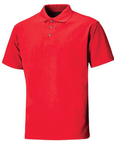 Camiseta Polo Personalizada OEM de Última Moda en Oferta - Product Image 1