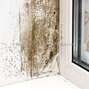 Peinture murale Anti-bactérien résistance aux champignons peinture de maison Applications de Construction intérieure extérieure - Product Image 1