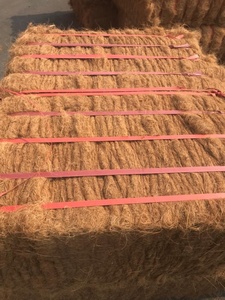 Pièce de monnaie américaine, fibre de coco vietnamien pour les ventes de 2019 - Product Image 6