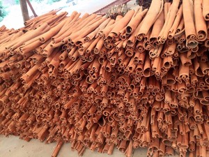Cassia Cannelle Vietnam Viet Nam Qualité supérieure Prix en gros pour l'exportation - Product Image 5