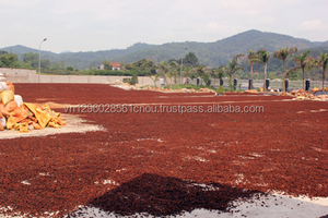 ANÍS ESTRELLADO NATURAL DE VIETNAM, ANISEED, ESPECIAS W/A: 0084909740687 - Product Image 5