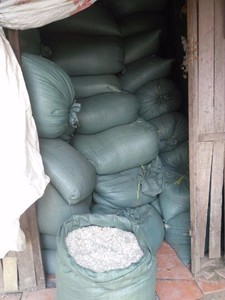 Gran oferta, gran oferta, escamas de pescado de lubina seca para industrias alimentarias, colágeno de Vietnam - Product Image 6